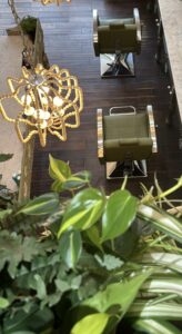 A view of a room with plants and a chair.