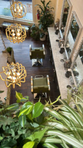 A view of some chairs and plants from above.